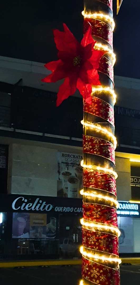 Decoraciones para exteriores