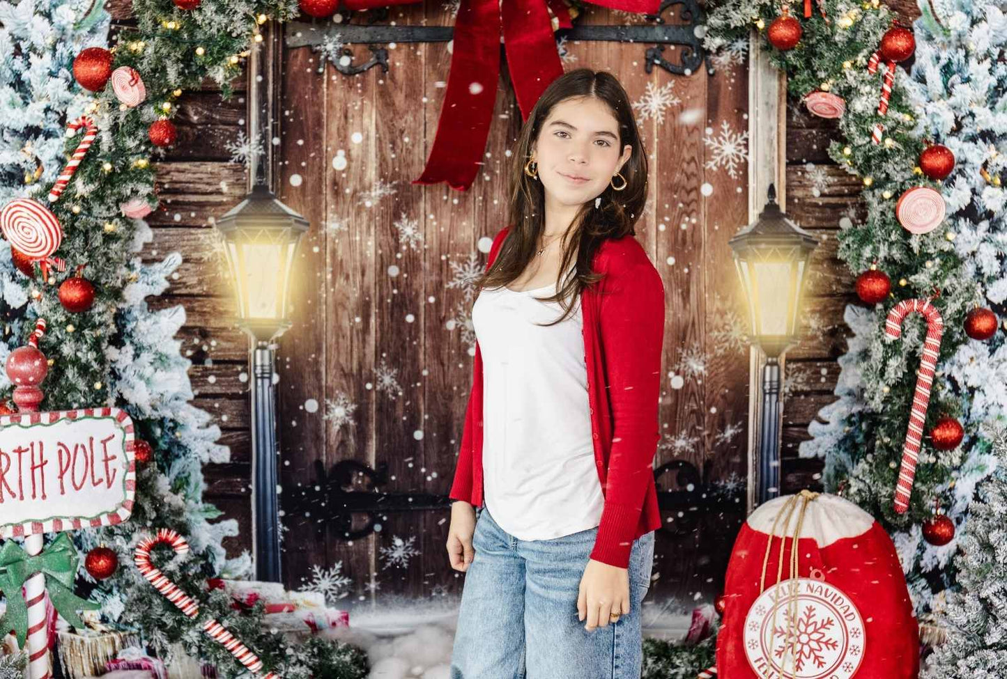 Winter Wonderland